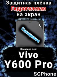 Защитная плёнка на экран смартфона для Vivo Y600 Pro глянцевая гидрогелевая SCPhone