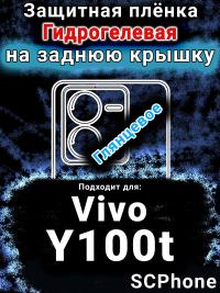 Защитная плёнка на заднюю крышку смартфона для Vivo Y100t глянцевая гидрогелевая SCPhone