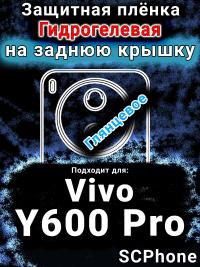 Защитная плёнка на заднюю крышку смартфона для Vivo Y600 Pro глянцевая гидрогелевая SCPhone