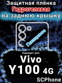 Защитная плёнка на заднюю крышку смартфона для Vivo Y100 4G глянцевая гидрогелевая SCPhone