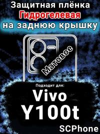 Защитная плёнка на заднюю крышку смартфона для Vivo Y100t матовая гидрогелевая SCPhone
