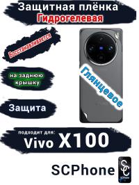 Защитная плёнка на заднюю крышку Vivo X100 глянцевая гидрогелевая