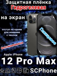 Защитная плёнка на экран для Apple iPhone 12 Pro Max глянцевая гидрогелевая стандарт под чехол с вырезом острова