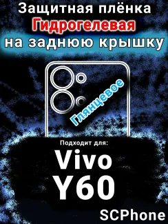 Защитная плёнка на заднюю крышку смартфона для Vivo Y60 глянцевая гидрогелевая SCPhone
