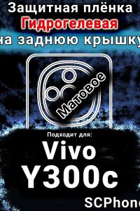 Защитная плёнка на заднюю крышку смартфона для Vivo Y300c матовая гидрогелевая SCPhone
