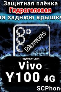 Защитная плёнка на заднюю крышку смартфона для Vivo Y100 4G матовая гидрогелевая SCPhone